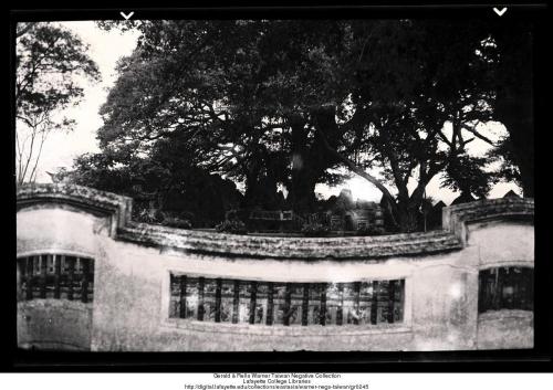 Old wall in the Lin gardens