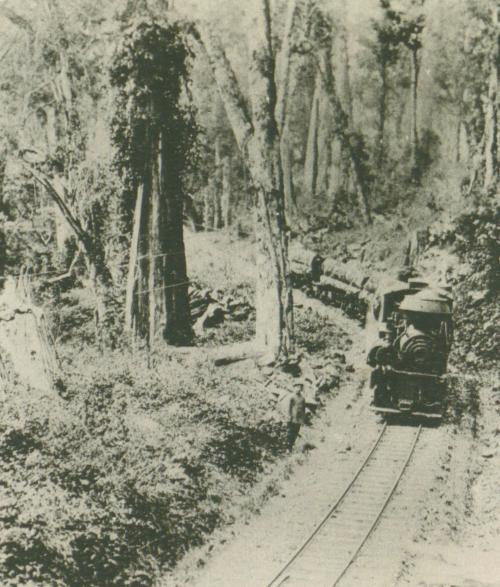 阿里山運材列車