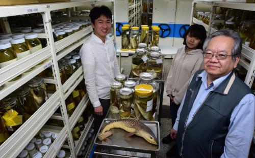 中央研究院生物多樣性研究博物館—魚類標本館