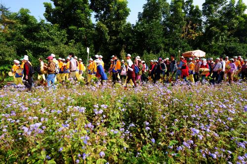 東山碧軒寺迎佛祖暨遶境_東山迎佛祖_回東山碧軒寺