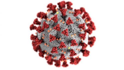 Computer render of SARS-CoV-2 virus