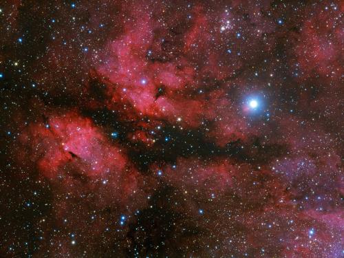 γ Cygni and IC 1318