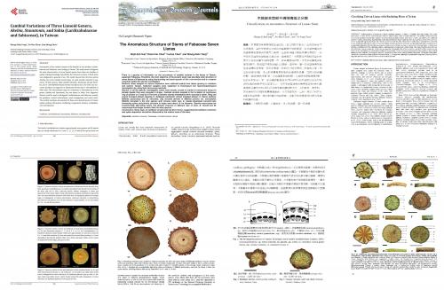 臺灣藤蔓植物研究