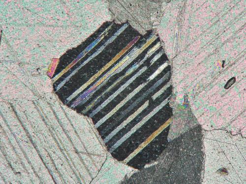 偏光顯微鏡下的大理岩