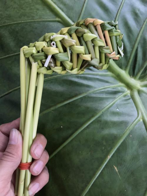 五節芒編織的童玩