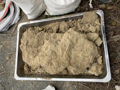 苗栗過港貝化石層採集實驗材料