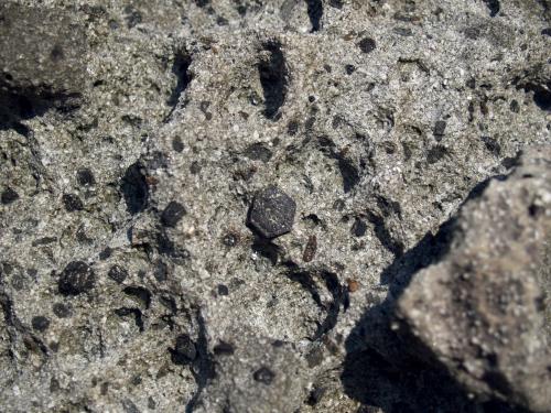 在安山岩中容易發現黑雲母的結晶
