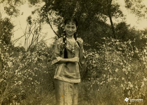 《桃花過渡》劇照