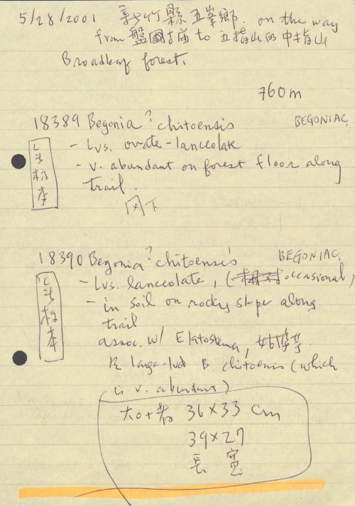 2001年_臺灣新竹五峰鄉採集紀錄