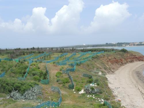 蒔板頭山A遺址田野照片