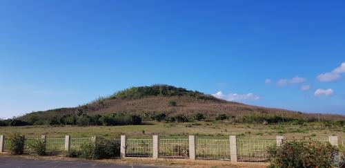 龜山遺址田野照片