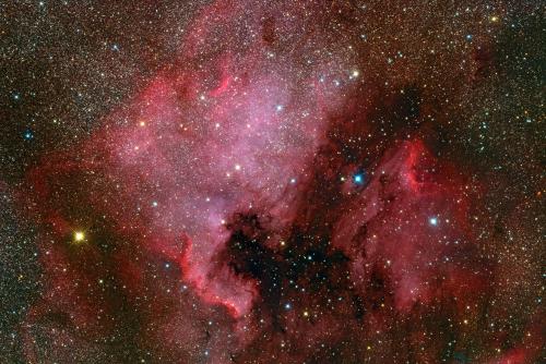 North America Nebula