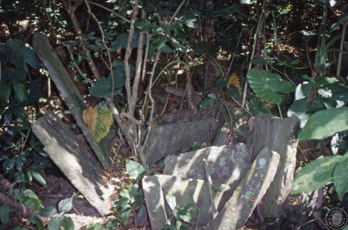 南仁山遺址田野照片