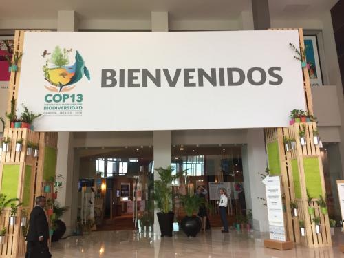 第13屆聯合國生物多樣性公約締約方大會 (CBD-COP13)