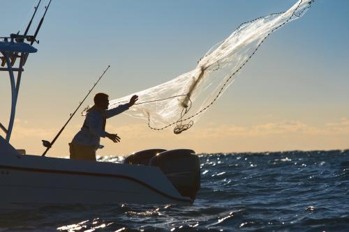 大海撈魚