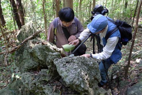 採集_廣西壯族自治區