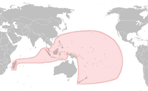 南島語族分布