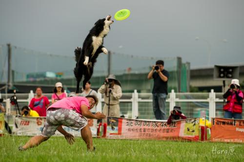 運動的邊界