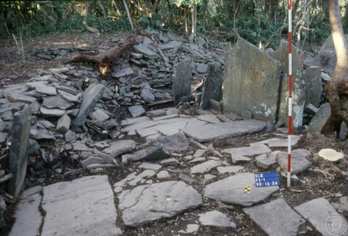 四林格山遺址田野照片