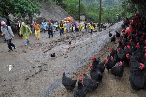 東山碧軒寺迎佛祖暨遶境_東山佛祖回娘家