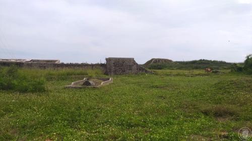 菓葉遺址田野照片