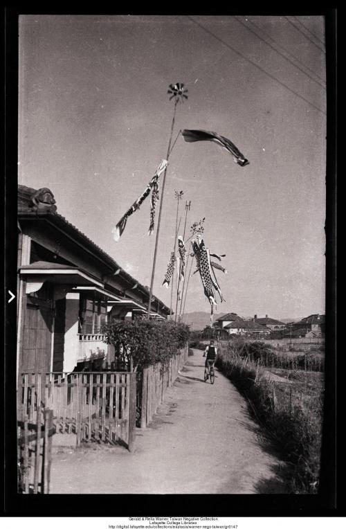 Carp banners in Taipei