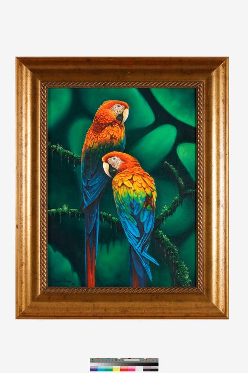 尼加拉瓜緋紅金剛鸚鵡油畫(Nicaragua Scarlet Macaw Oil Painting)