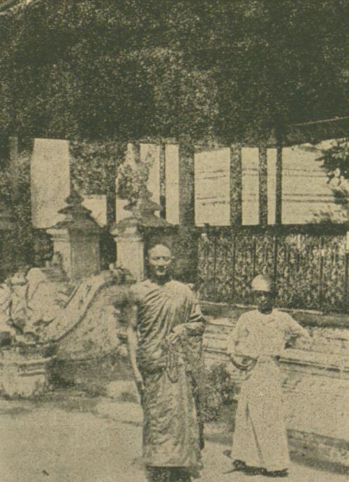 緬甸僧侶與修業兒童