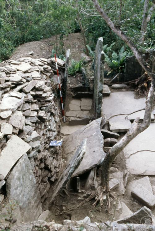 四林格山遺址田野照片