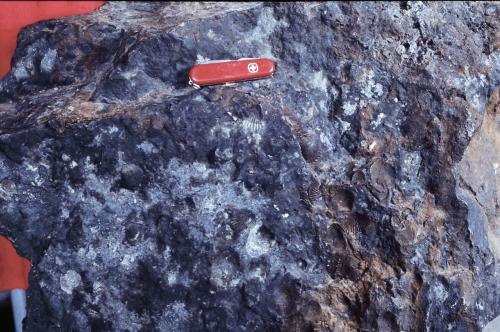 砂岩較容易被熱水礦液礦化而形成礦體