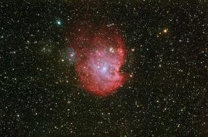 NGC 2175 Monkey Face