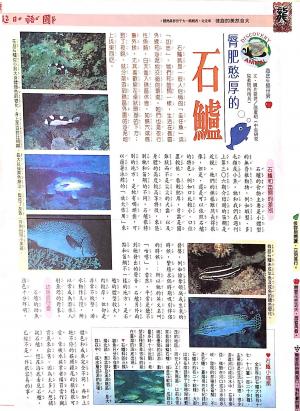 國語日報—海底生物世界：石鱸