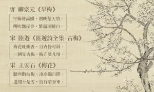 歌頌梅花詩詞