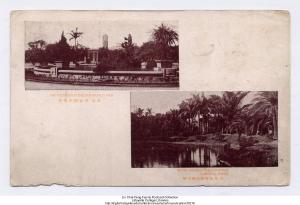 臺北新公園的噴泉 臺北植物園的椰子樹