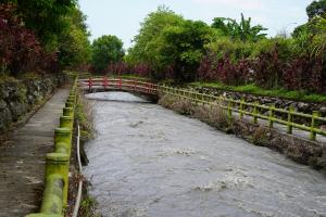 水利生態步道河景