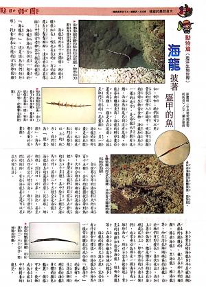 國語日報—海底生物世界：海龍