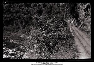 Walking along the tracks