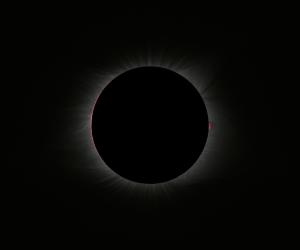 The Black Sun: Inner Corona during the 2017 North American Total Solar Eclipse