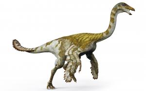 似鳥龍Ornithomimus