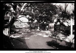 Driveway at Consulate