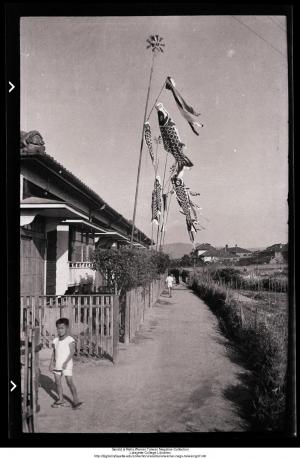 Carp banners