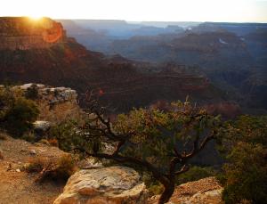 Grand Canyon