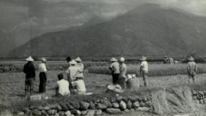 退輔會老照片-花東農場墾區之狀況2 影像來源：國軍退除役官兵輔導委員會臺東農場