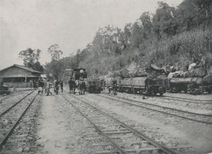 糞箕湖停車場（阿里山鐵道） 