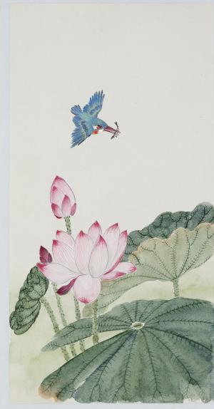 荷塘翠鳥 | Lotus and Kingfisher