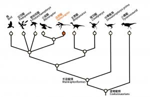 迅掠龍系譜圖