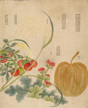 畫作：可可椰子、紅花、番茄、小米、水稻