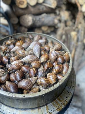 蝸牛原民飲食文化課程