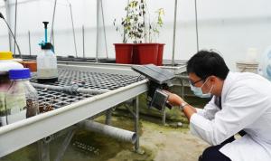 幫忙照顧雨來菇的「電子眼睛」