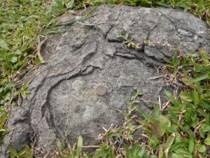 洋蔥狀風化的安山岩